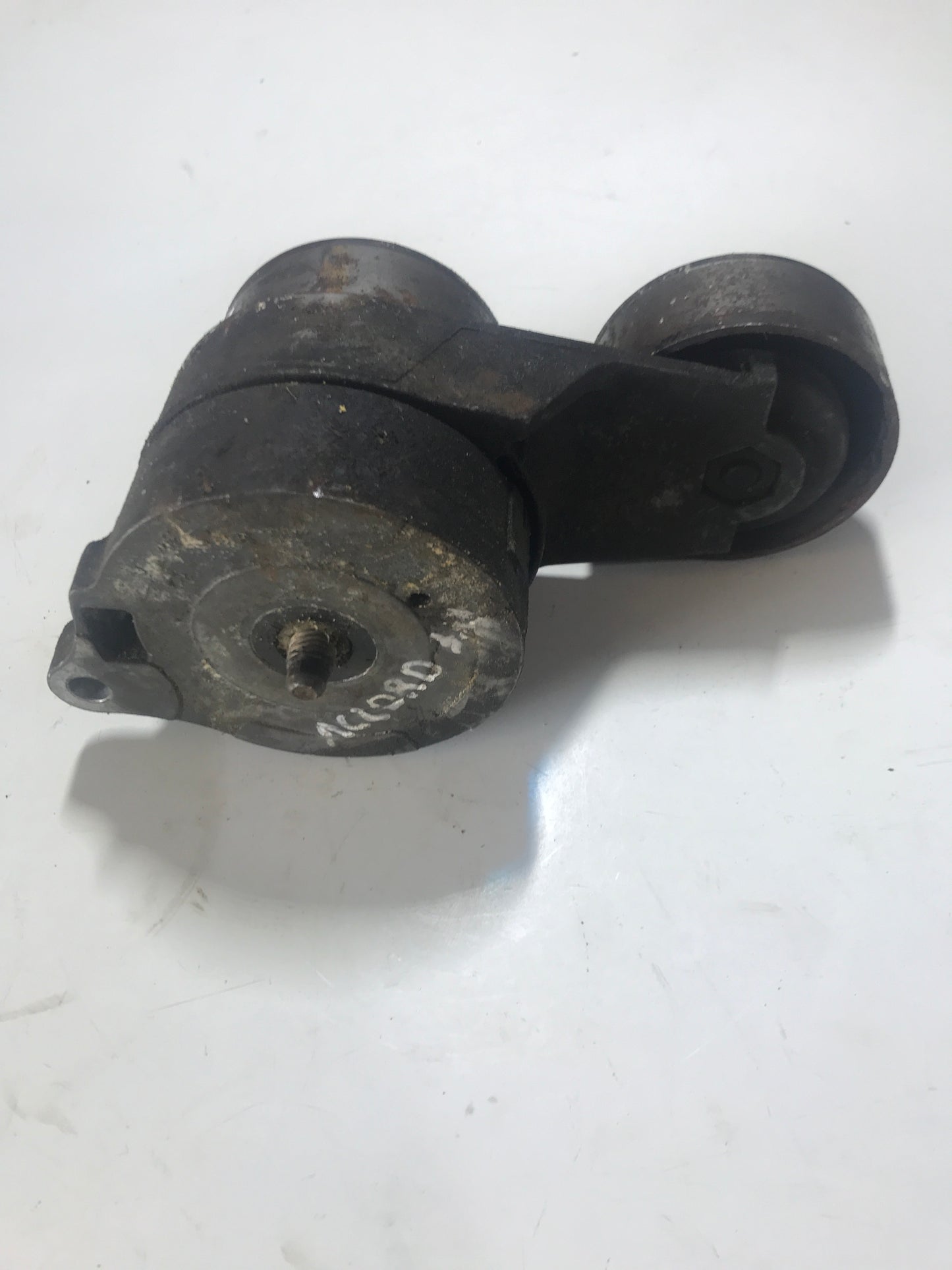 Tensor Correa Unica Honda Accord 3.0