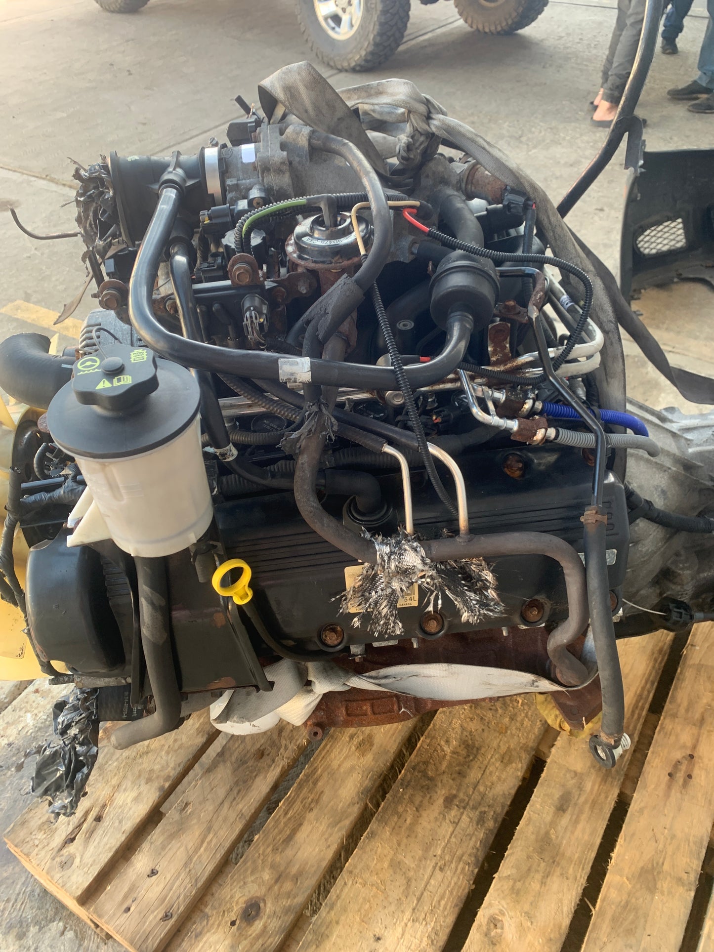 Motor 2000 2003 5.4 Ford F150 2V Bobina Cilindro