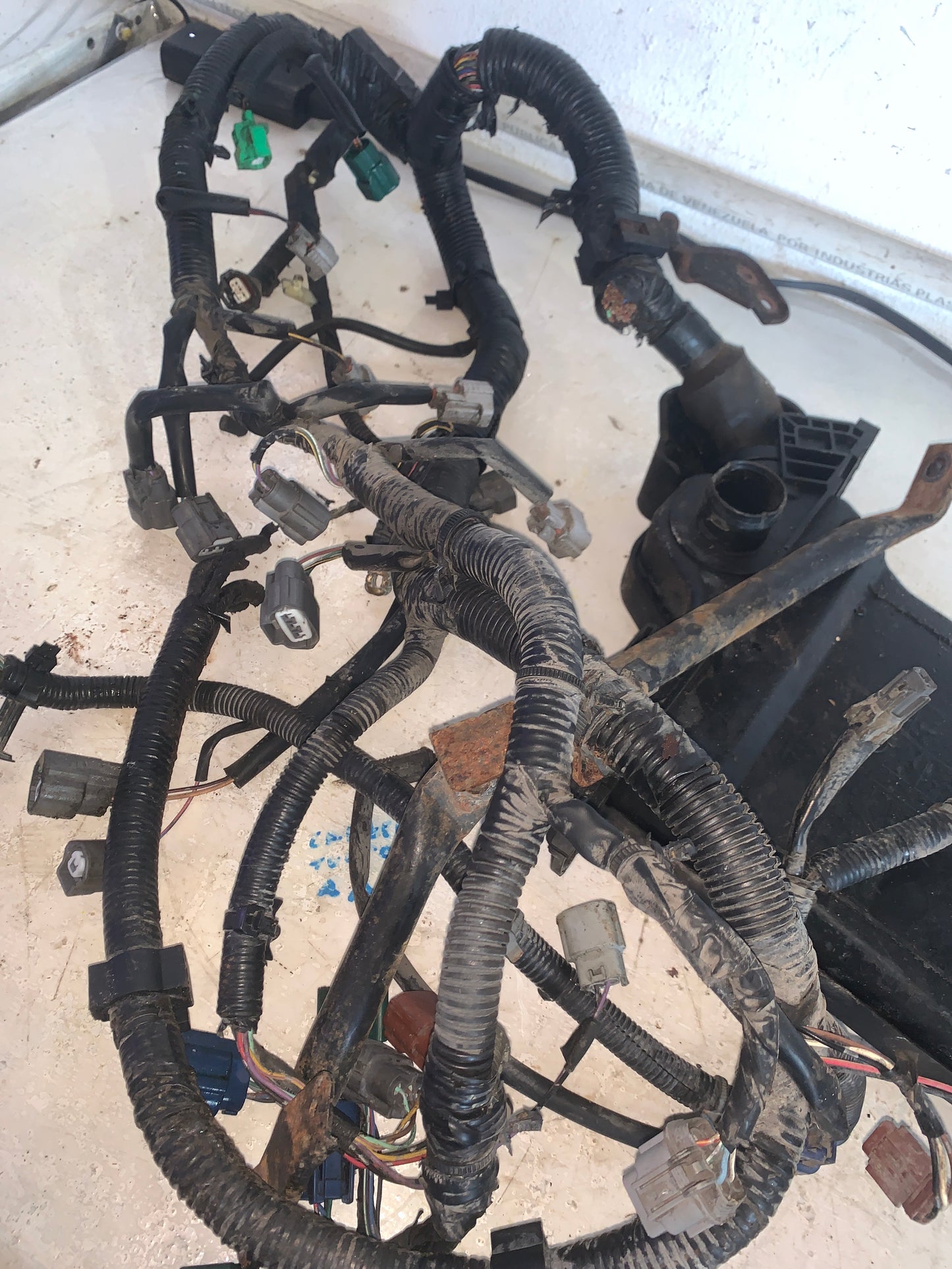 Cableria con Computadora Americana Nissan Sentra B15 2001 2008