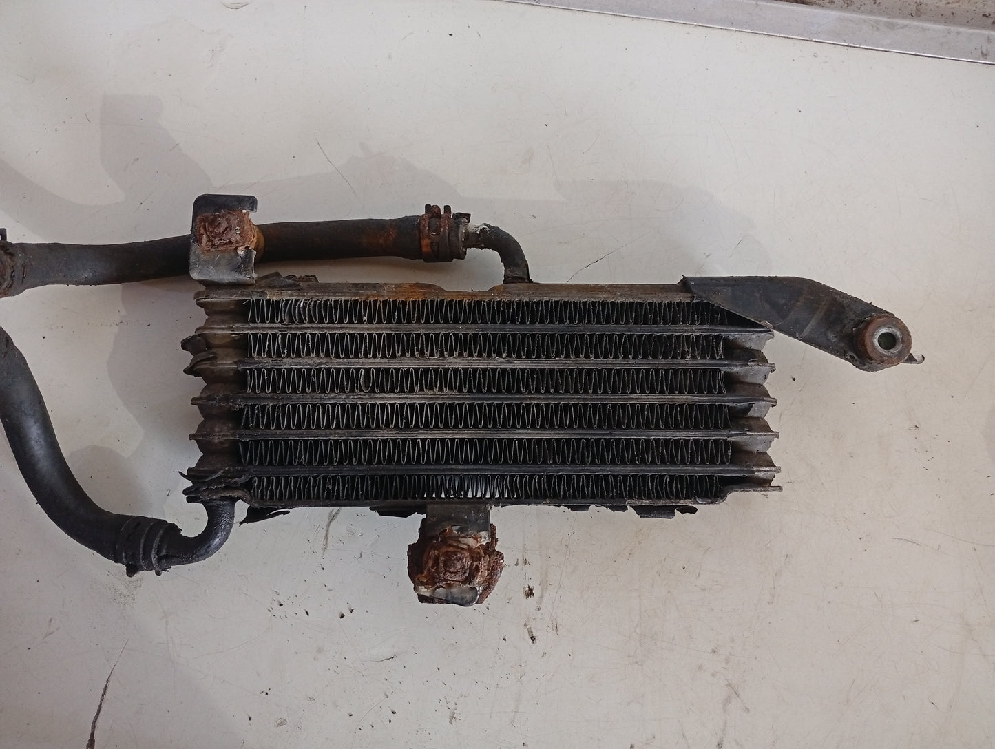 Radiador Enfriamiento Aceite Toyota Tacoma 2005 2011
