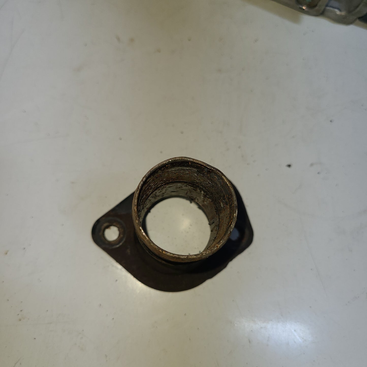 Toma Agua Dodger Caravan