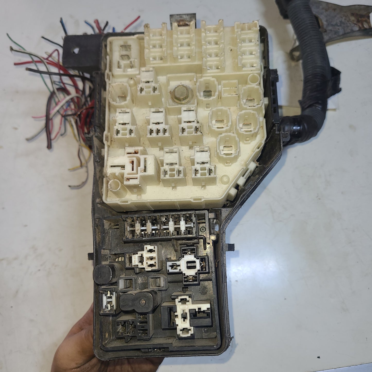 Fusilera Externa Toyota RAV4 2005