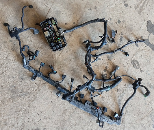 Cableria con Fusilera Honda Civic 2001 2005