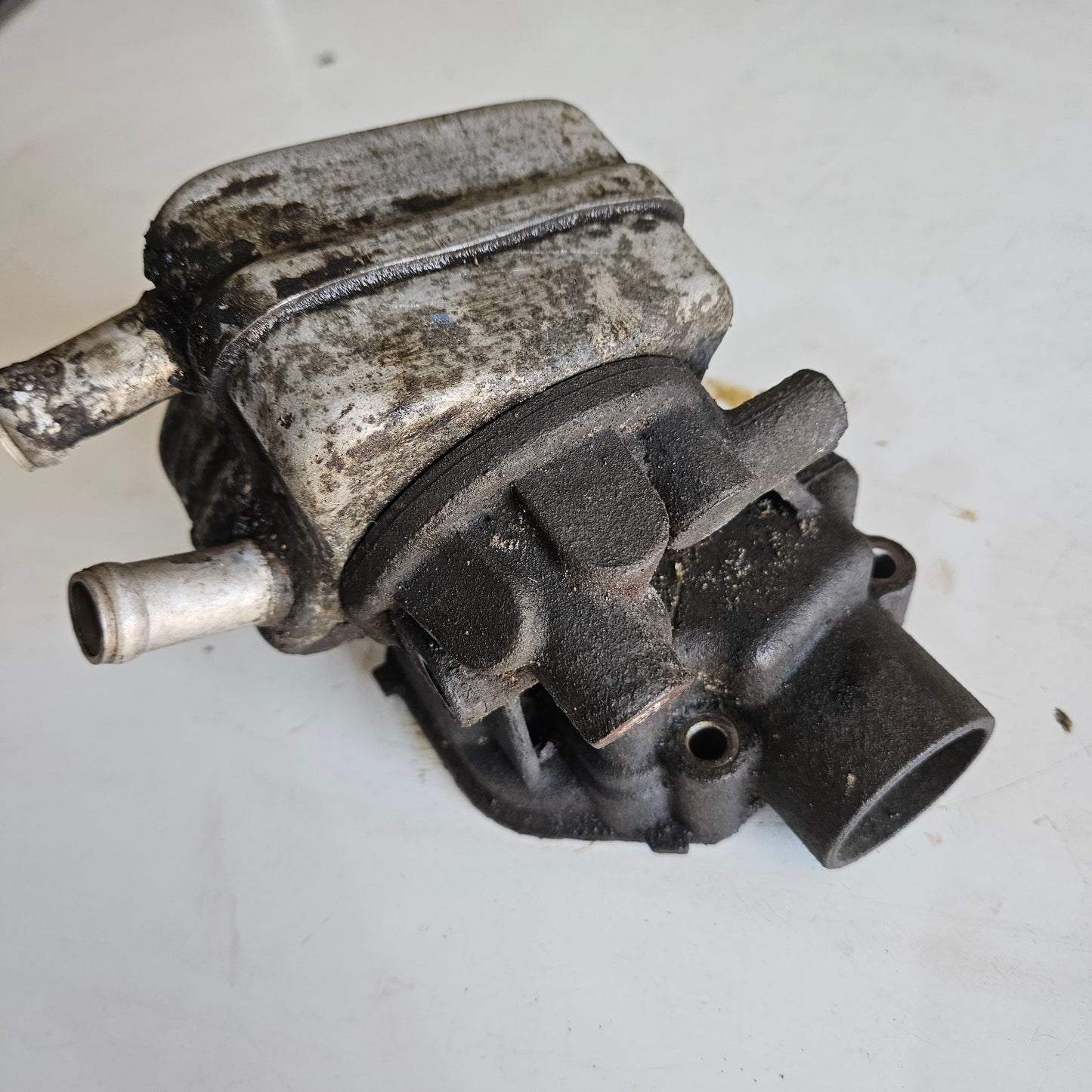 Serpentin Enfriador Aceite Volkswagen Jetta Bora 2.0