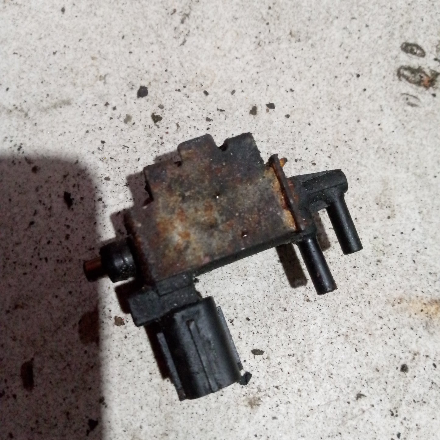 Selenoides Honda K24