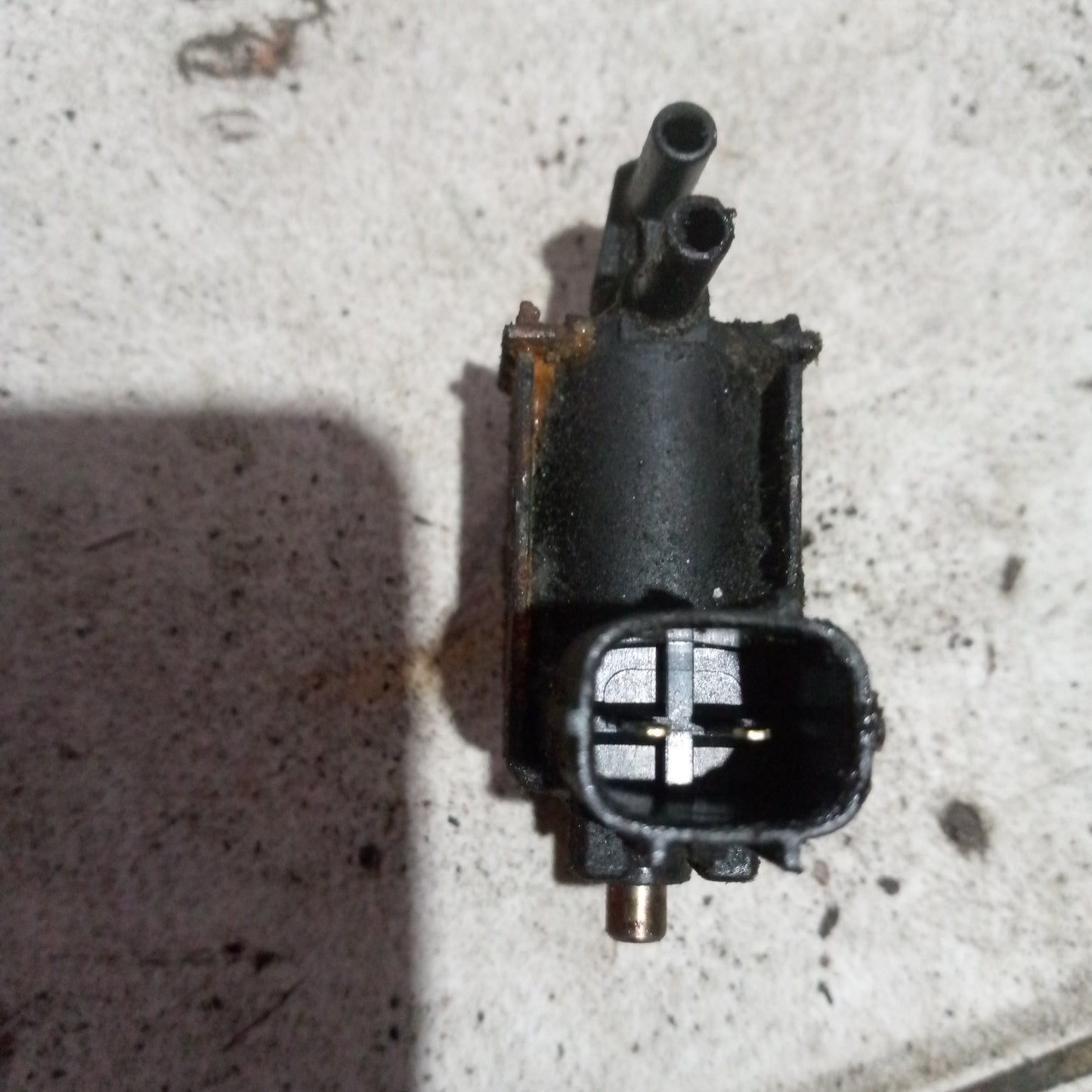 Selenoides Honda K24