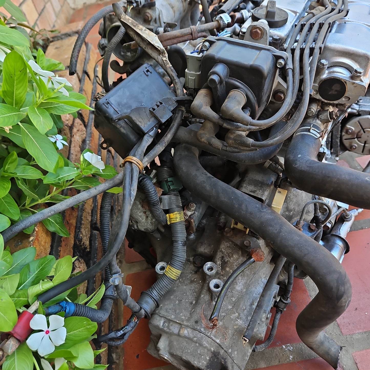 Motor Integra 1994 B18