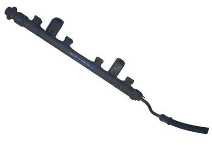 Flauta con Regulador Gasolina Hyundai Tucson Elantra Sportage 2.0