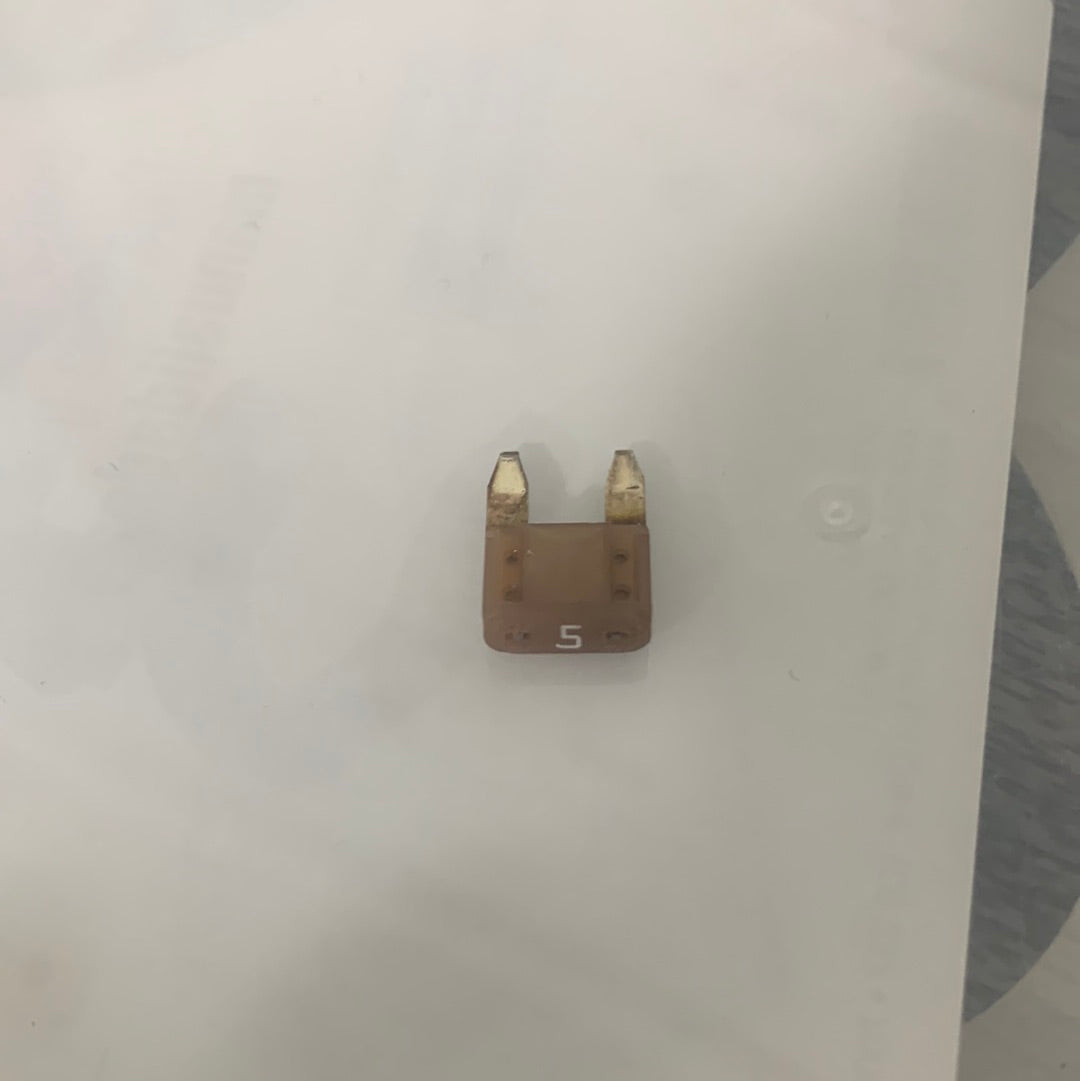 5x Fusible Pequeño 5 amp