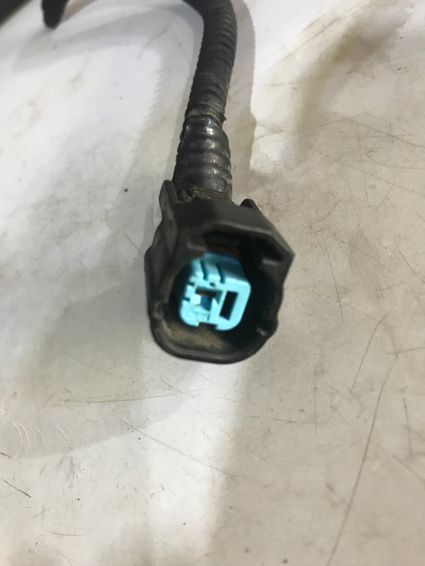 Conector Pito Honda Civic 2006