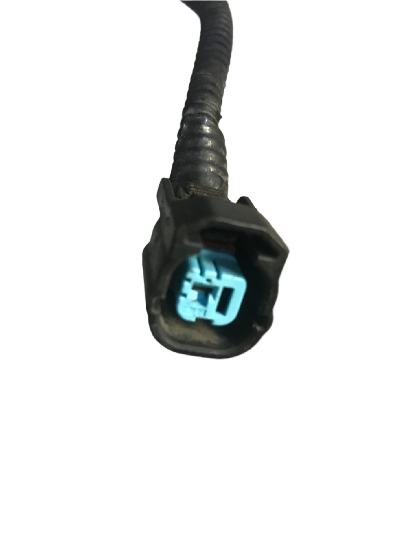 Conector Pito Honda Civic 2006