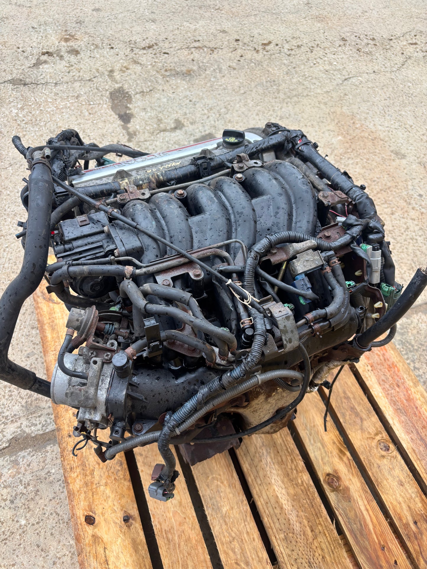 Motor Nissan Maxima 1999 2000 VQ30