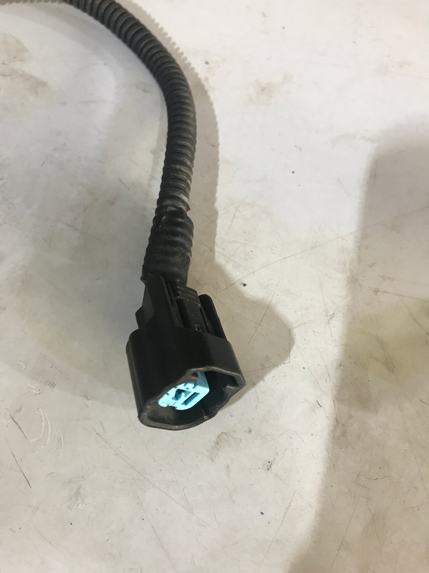 Conector Pito Honda Civic 2006