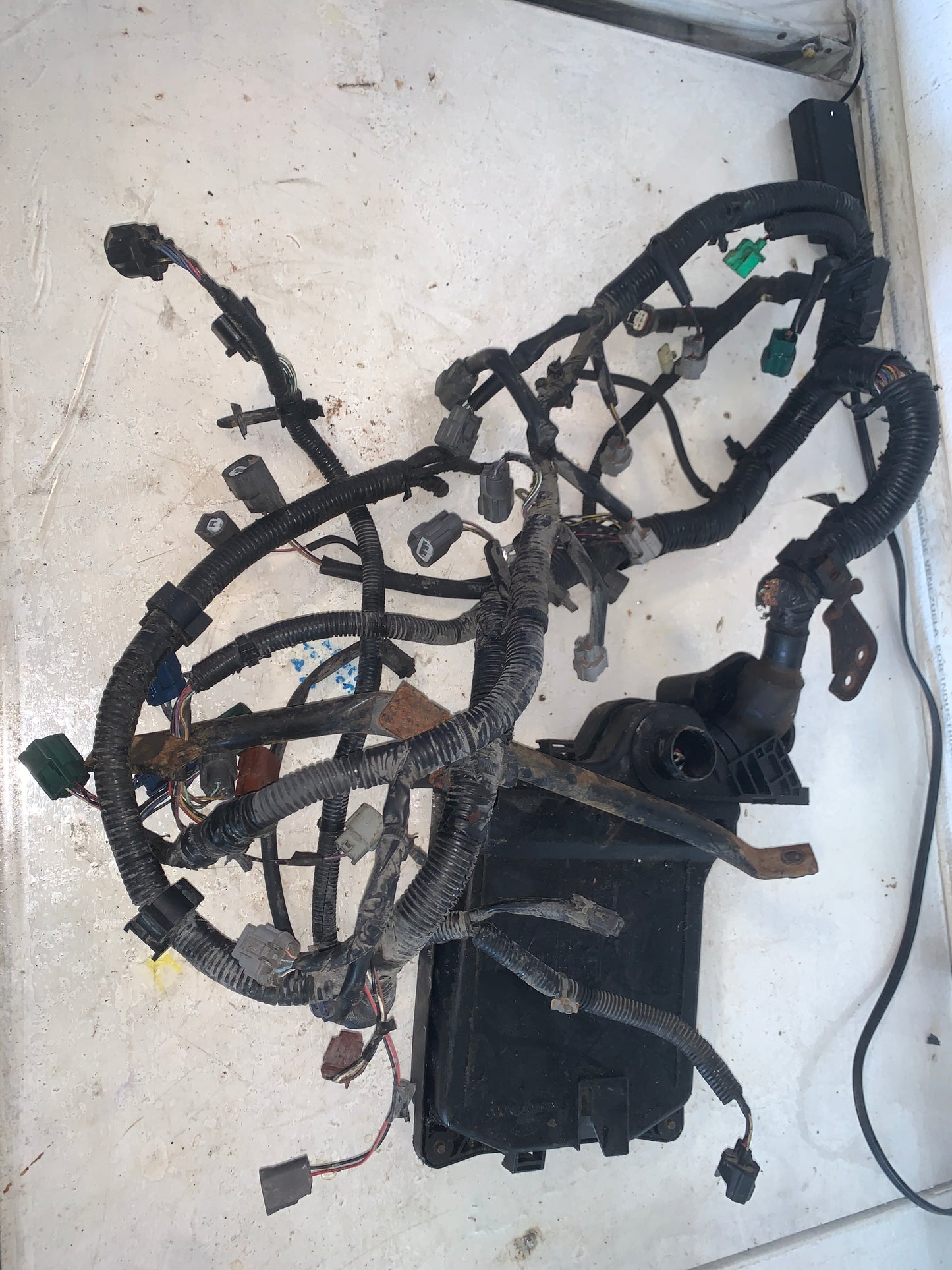 Cableria con Computadora Americana Nissan Sentra B15 2001 2008