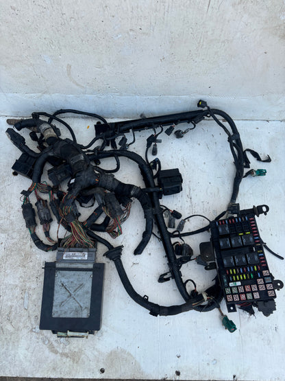 Cableria y Computadora Ford F350 5.4 2v