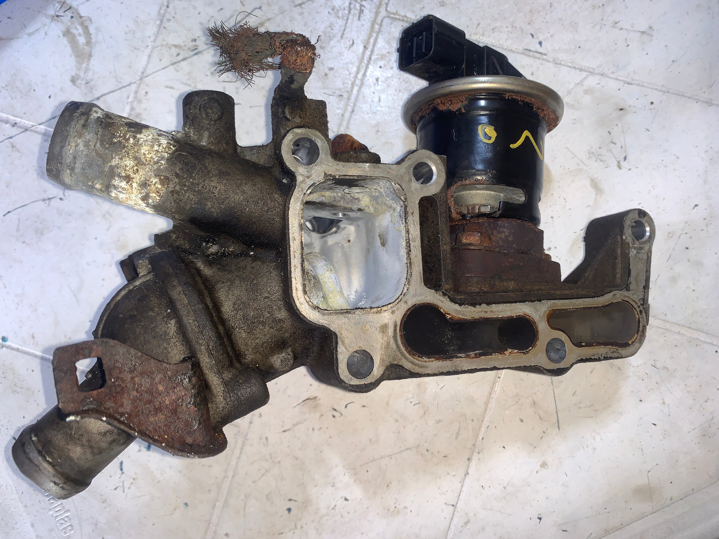 Toma De Agua EGR Termostato Honda Civic D17 2001 2005