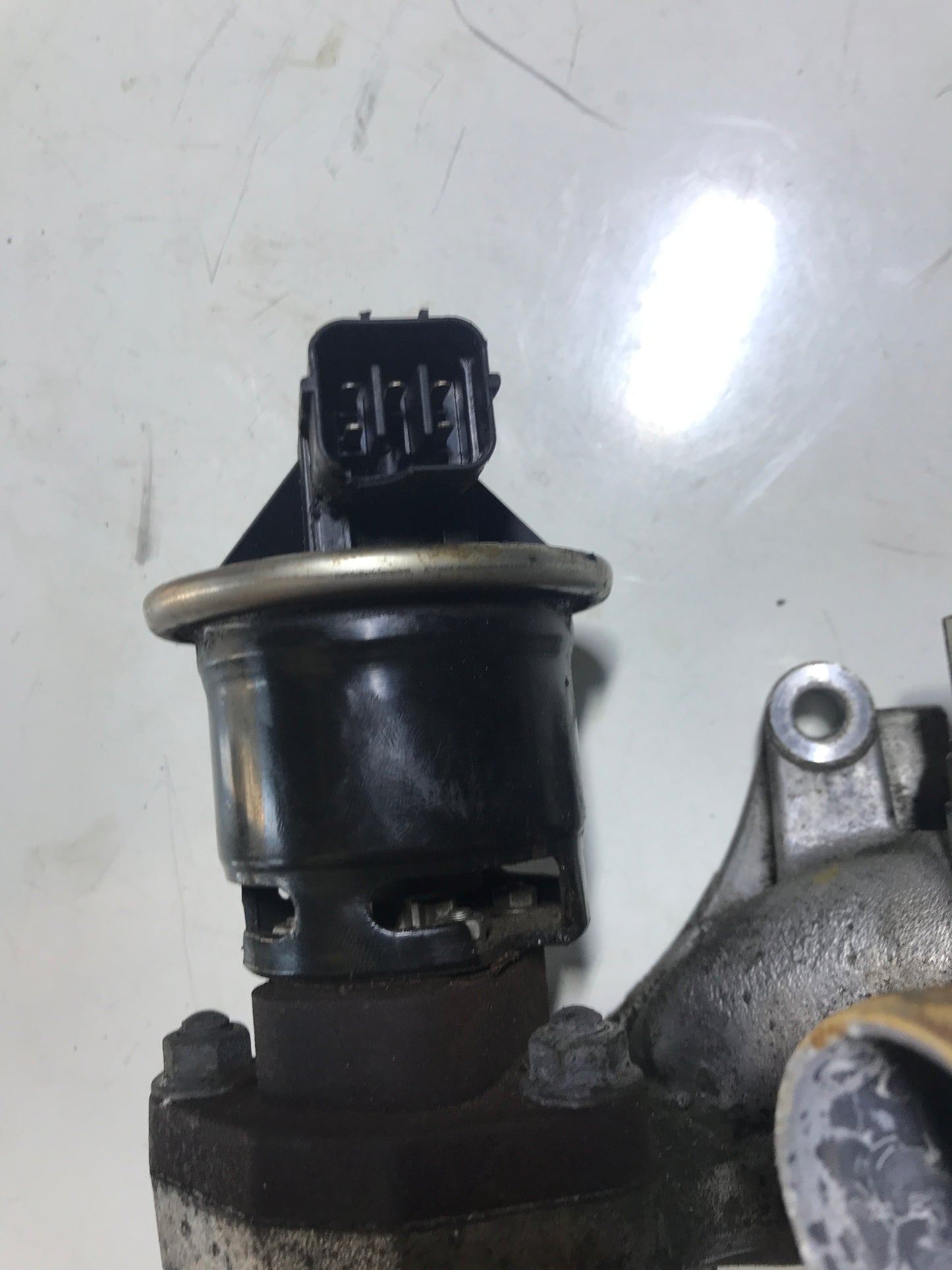 Valvula EGR con Toma de Agua Honda Accord 3.0