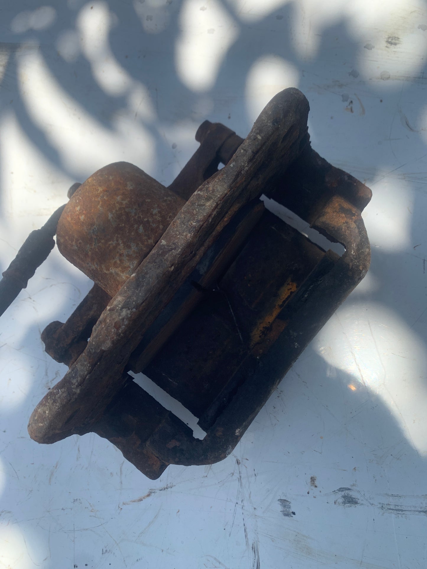Mordaza Caliper Honda Accord