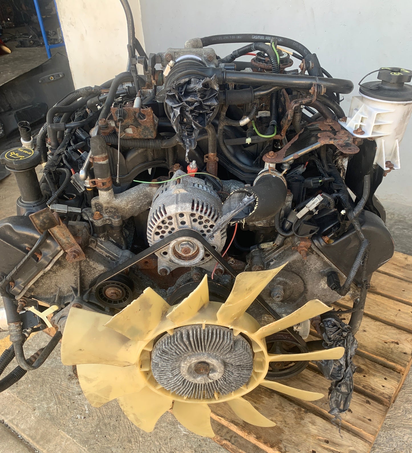 Motor 2000 2003 5.4 Ford F150 2V Bobina Cilindro