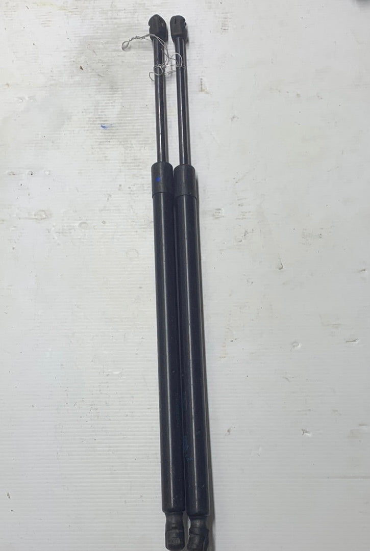 Gato Amortiguador Expedition