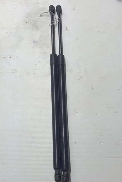 Gato Amortiguador Expedition