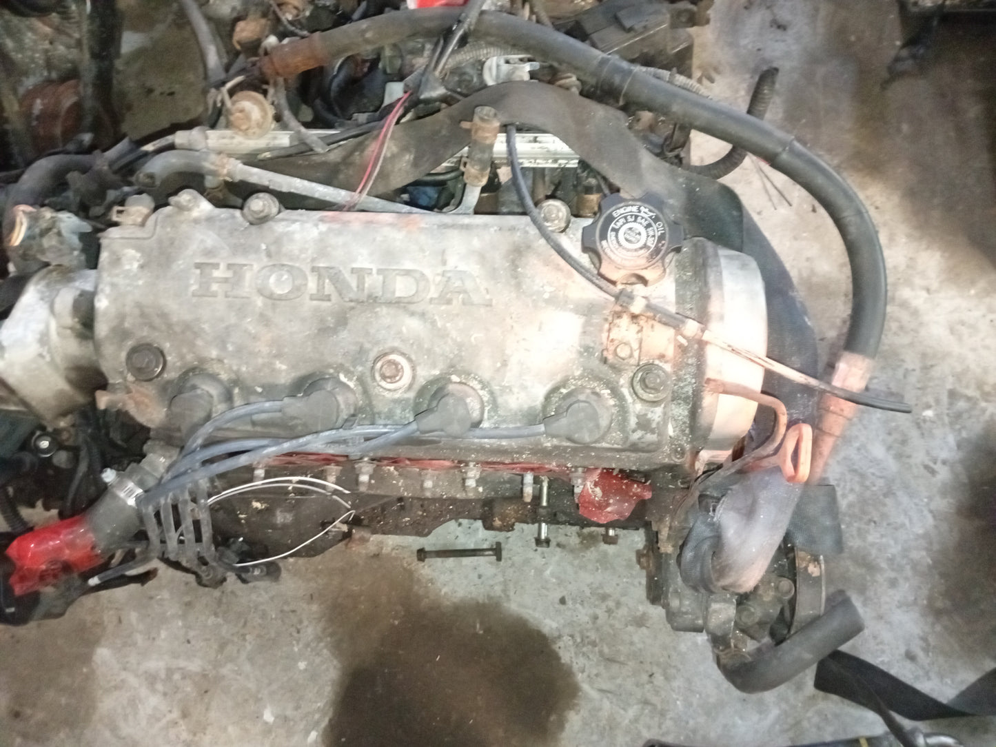 Motor 7/8 Honda Civic D16 1.6L NO VTEC 1996-2000
