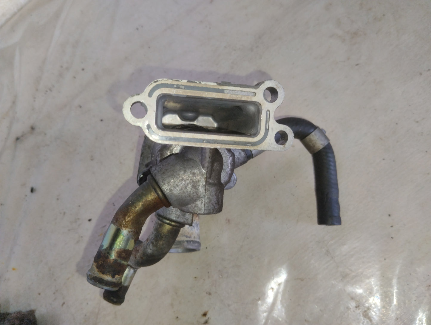 Toma De Agua con Termostato Nissan Sentra B13 B14