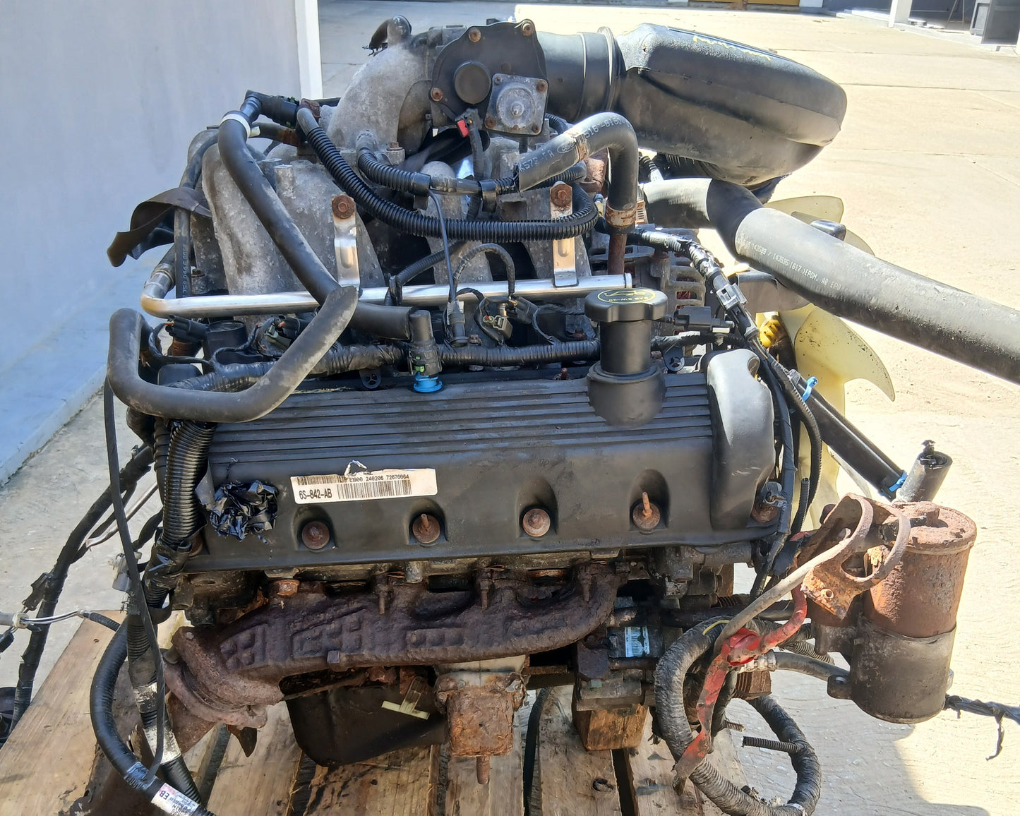 Motor Ford F150 2V 4.6L Bobina por Cilindro 1995 2003 Fortaleza