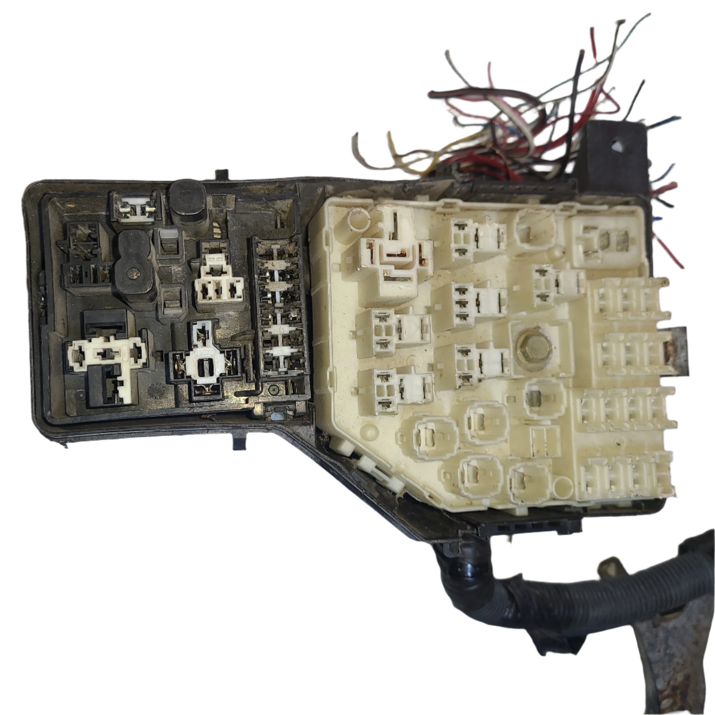 Fusilera Externa Toyota RAV4 2005