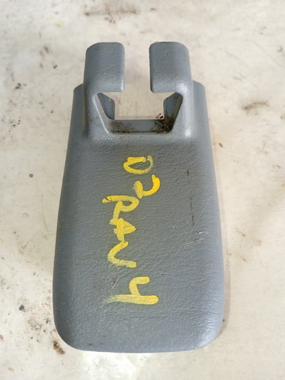 Tapa Tuerca Asiento RAV4