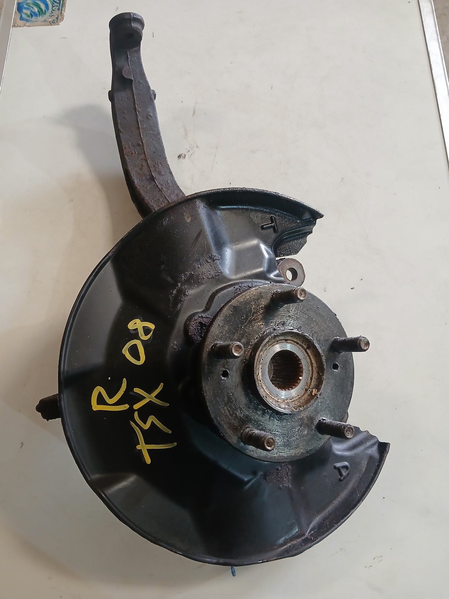 Mozo Honda Acura TSX 2006 2008
