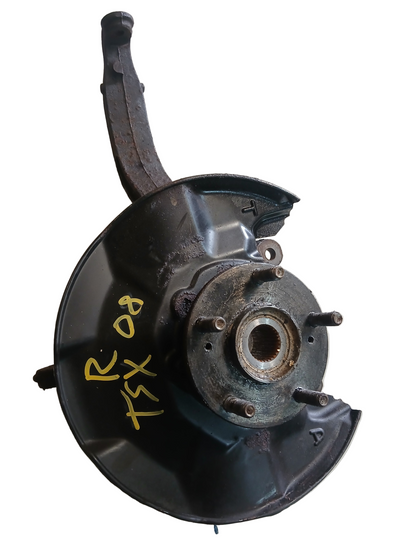 Mozo Honda Acura TSX 2006 2008