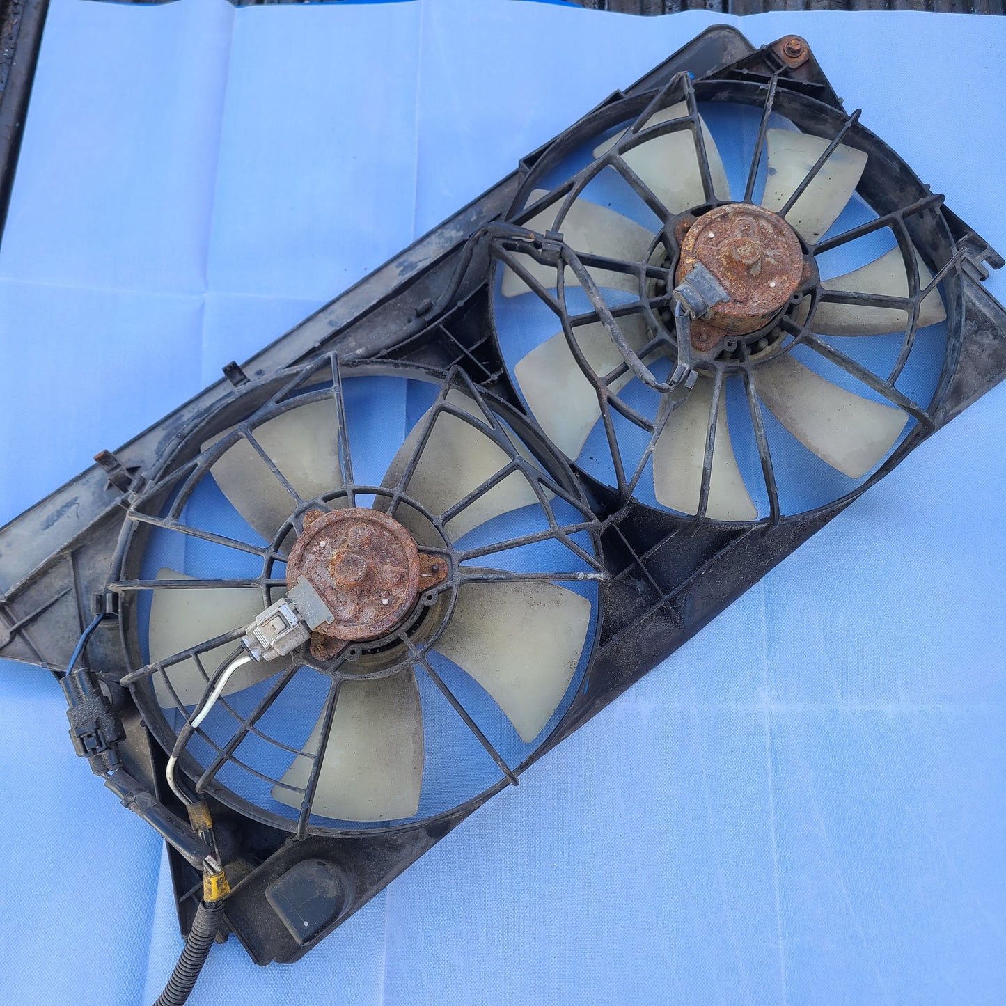 Motor Electroventilador Doble Toyota Celica 1.8 1ZZ 1998 2005