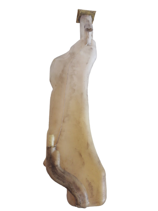 Envase Deposito Agua Radiador Dodge Caravan 2008 2020