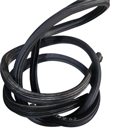Goma Puerta Ford F150 2005