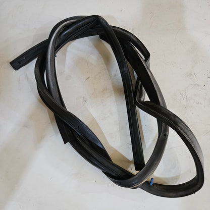 Goma Puerta Externa Nissan Sentra B15