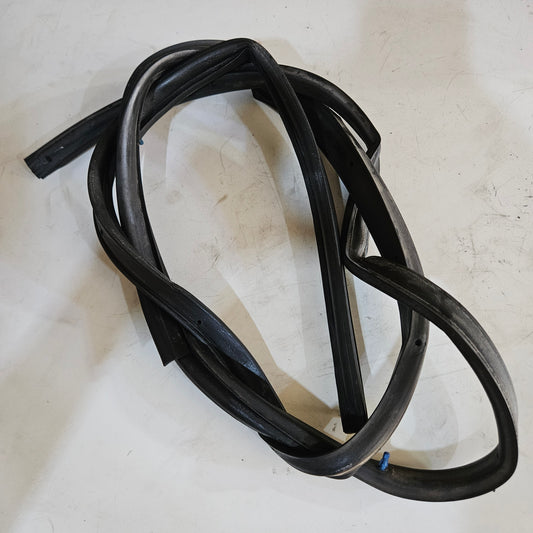 Goma Puerta Externa Nissan Sentra B15