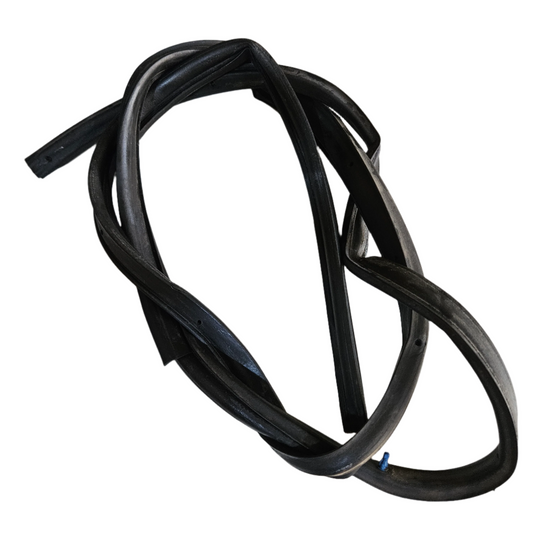 Goma Puerta Externa Nissan Sentra B15