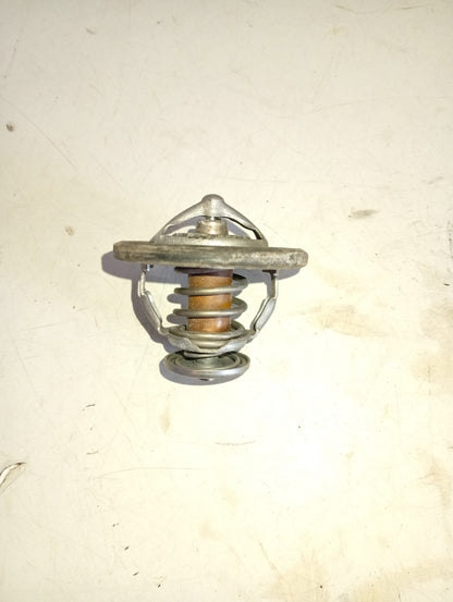 Termostato Ford F150 FX4