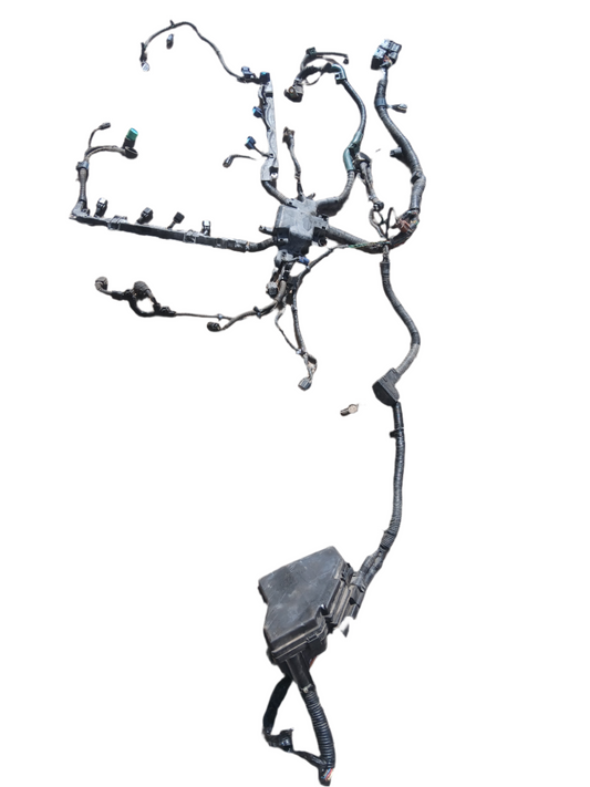 Cableria con Fusilera Honda Civic 2006 2012